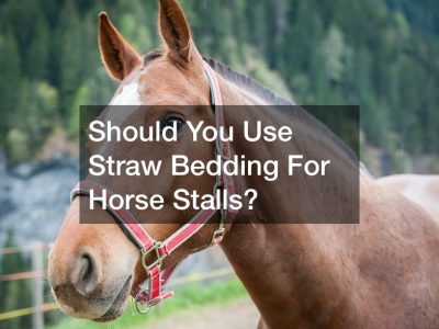 Should You Use Straw Bedding For Horse Stalls?