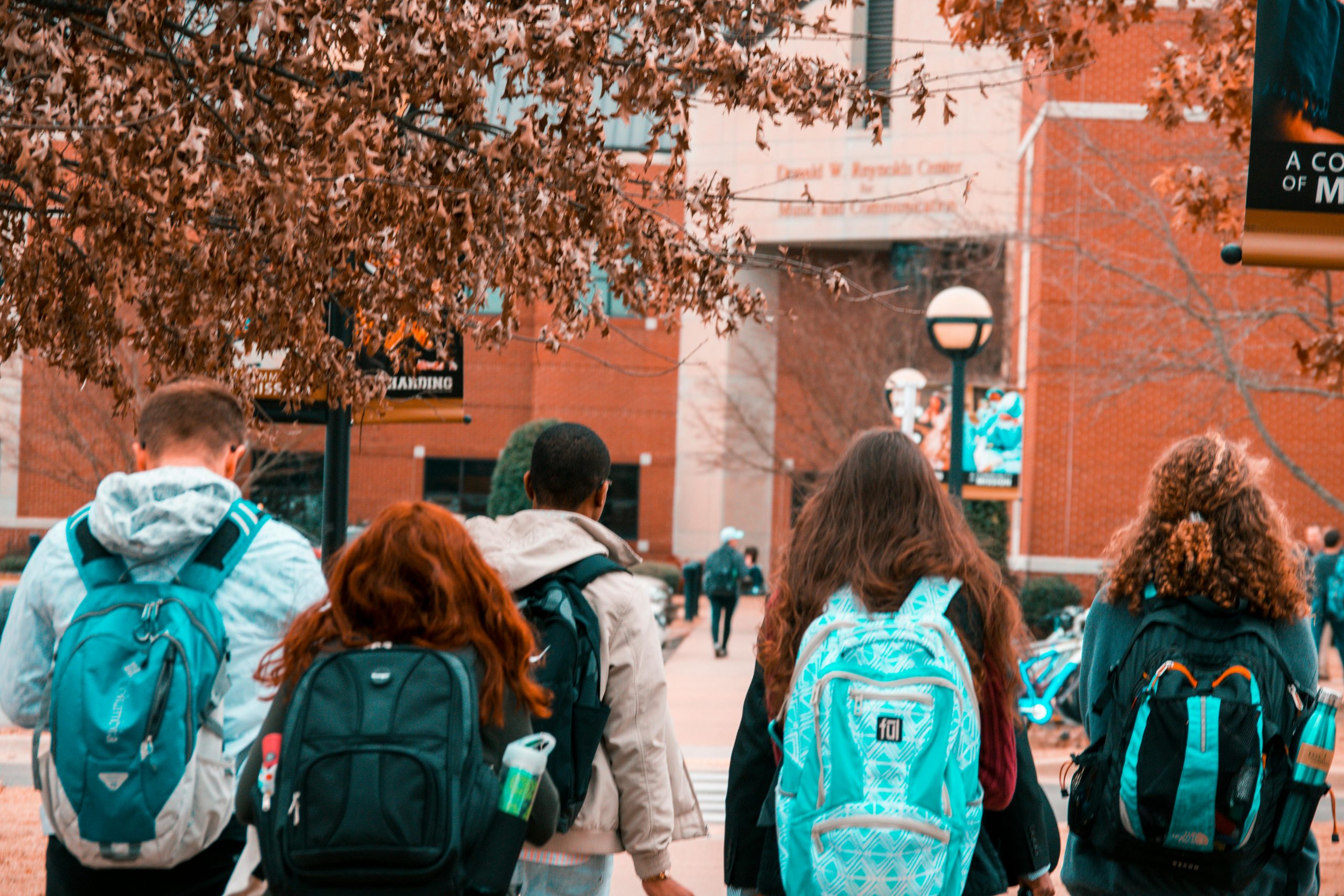 community college vs university